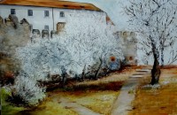 /album/festmenyeim/zuzmara-50x70cm-olaj-vaszon-jpg/